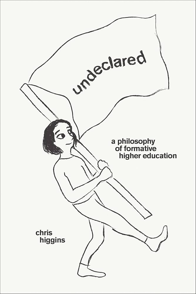 Undeclared, Chris Higgins