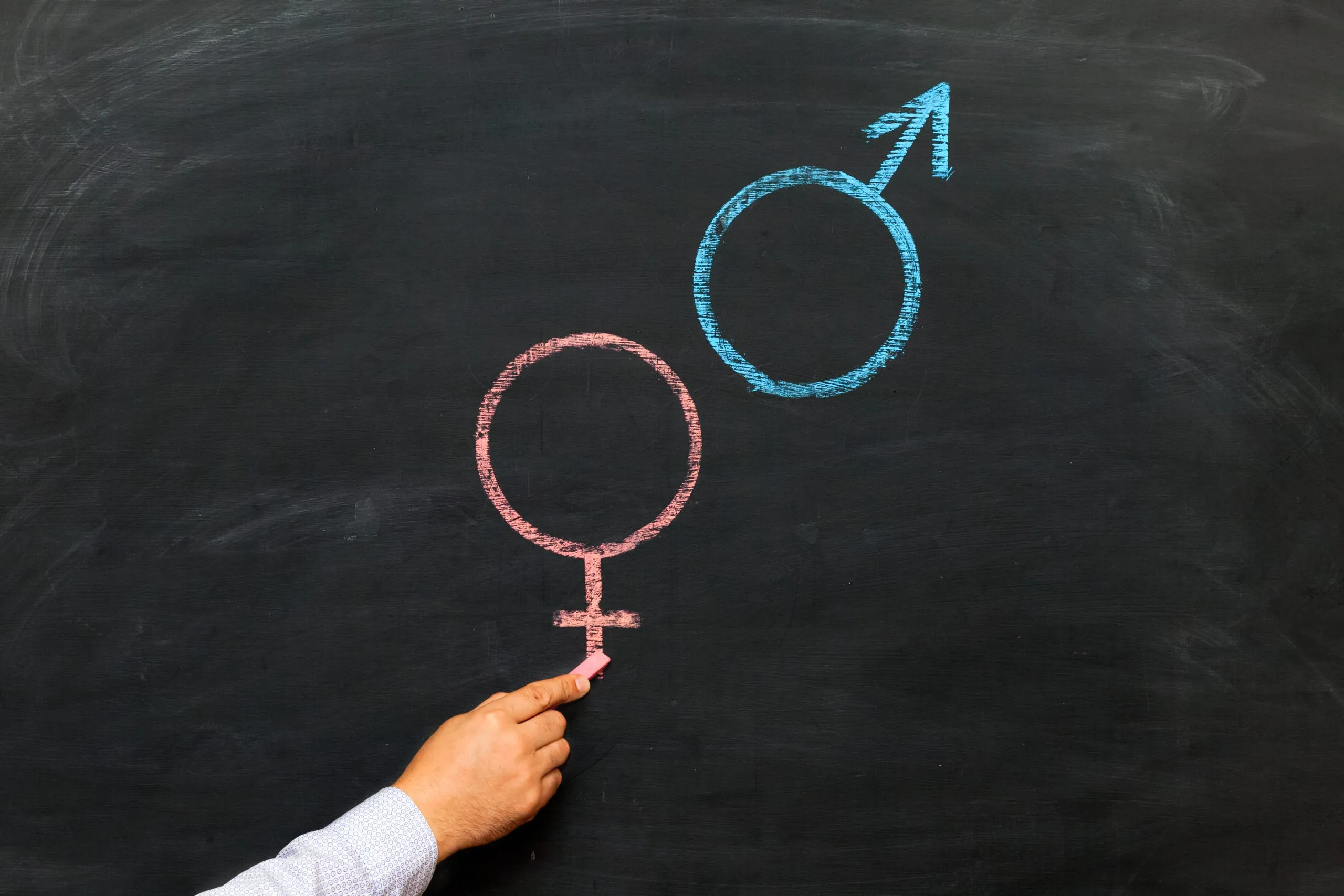 How teaching sex ed taught me how to approach the synod